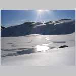 IMG_6956.jpg
